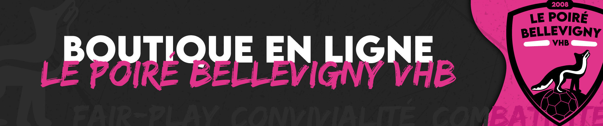 POIRE BELLEVIGNY VENDEE HANDBALL